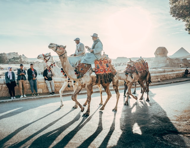Homens passeando de camelo no Egito